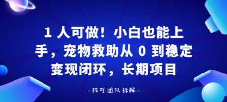 1人可做！小白也能上手，宠物救助从 0 到稳定变现闭环，长期项目-网创百晓生