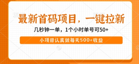 最新首码项目，操作最简单，收益高，一键拉新，1个小时单号可50+，小项目认真做每天5张+收益【揭秘】-网创百晓生