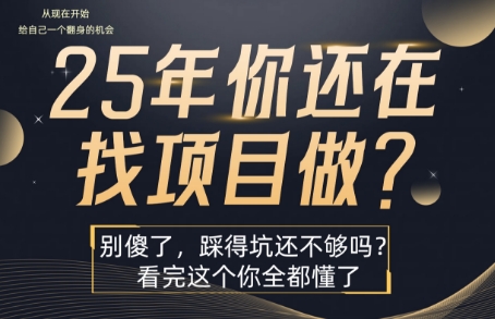 25年，你还在疯狂的找项目吗？别傻了，看完这个你都懂了【揭秘】-网创百晓生