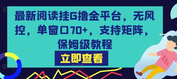 最新阅读挂G撸金平台，无风控，单窗口70+，支持矩阵，保姆级教程【揭秘】-网创百晓生