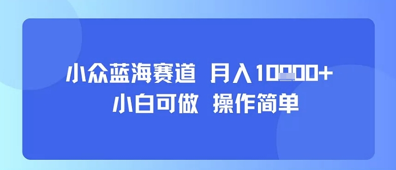 小众蓝海赛道，小白可做，操作简单，每天30分钟，月入1W+-网创百晓生