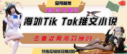 海外tiktok小说推文暴力项目，高停留率，高转化率，上手后一天搞顿饭钱不是问题-网创百晓生