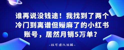 谁再说没钱途！我找到了两个冷门到离谱但賺麻了的小红书账号，居然月销5W单？-网创百晓生