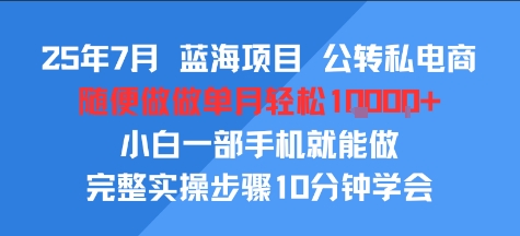 25年7月蓝海项目，公转私电商，随便做做单月轻松1w，小白一部手机就能做，完整实操步骤10分钟学会-网创百晓生