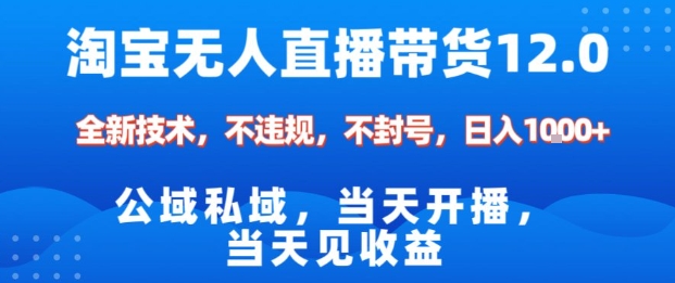淘宝无人直播12.0，公域私域技术，不封号，不违规布局双十一流量风口，日入1k（独家技术）【揭秘】-网创百晓生