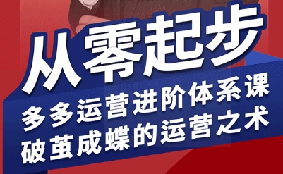 拼多多运营进阶系统课，从零起步，多多运营进阶体系课，破茧成蝶的运营之术-网创百晓生