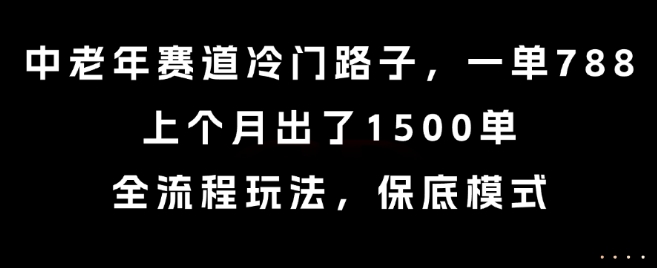 中老年赛道冷门路子，一单788，上个月出了1500单，全流程玩法，保底模式【揭秘】-网创百晓生