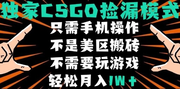 CSGO自动捡漏项目，最新独家玩法，不是美区搬砖，不需要了解和玩游戏，新手小白轻松月入1W+【揭秘】-网创百晓生