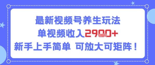 视频号养生玩法，单视频收入2.9k，新手上手简单-网创百晓生