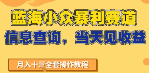 蓝海小众暴利赛道，信息查询，当天见收益，不讲玄学，7天搞了2W+-网创百晓生