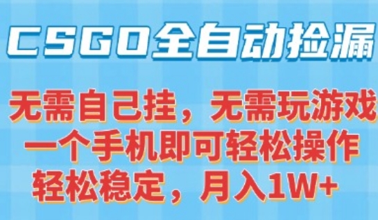 CSGO自动捡漏项目，最新独家玩法，一个手机可操作，新手小白轻松月入1W+，操作简单易上手【揭秘】-网创百晓生