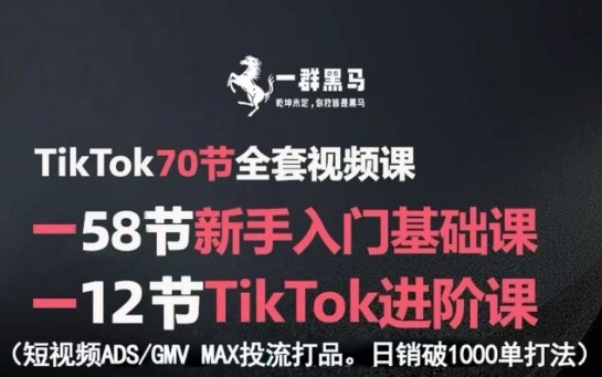 TikTok全套视频课，新手入门+进阶课，短视频ADS-GMV MAX投流打品，日销破1000单打法-网创百晓生