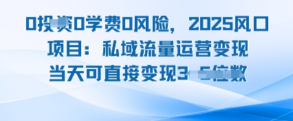 0学费0风险，2025风口项目：私域流量运营变现，当天可直接变现-网创百晓生