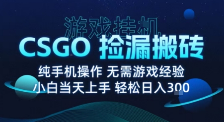 8月最新游戏搬砖，CSGO纯挂G，不需要玩游戏，实现真挂G，月入1W+【揭秘】-网创百晓生