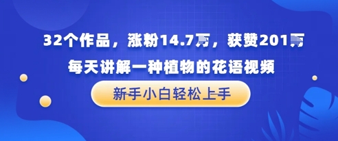 32个作品，涨粉14.7W，获赞201W，每天讲解一种植物的花语视频，无需任何技巧，新手小白轻松上手-网创百晓生
