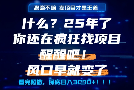 什么？25年你还在疯狂找项目做，醒醒吧，看完这些你全都懂了！【揭秘】-网创百晓生