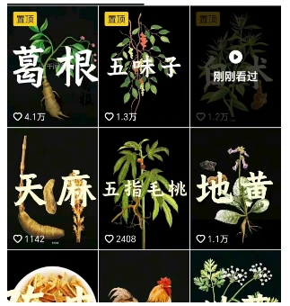 抖音中草药赛道，用AI做中草药故事视频，45条作品涨粉13W，橱窗带货猛猛出单-网创百晓生