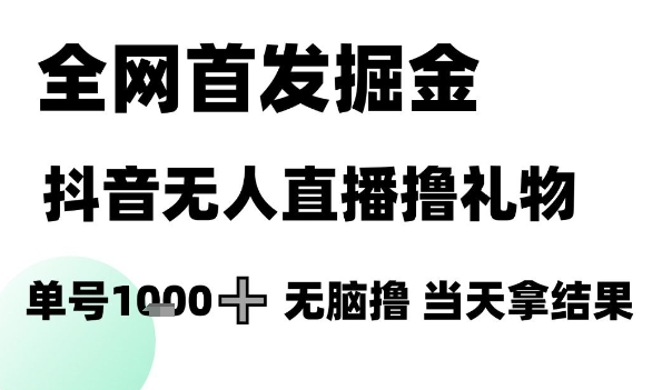 全网首发掘金抖音无人直播撸礼物，单号1k +无脑撸，当天拿结果【揭秘】-网创百晓生