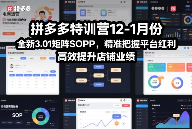 拼多多特训营12-1月份，全新3.01矩阵Sop，精准把握平台红利，高效提升店铺业绩-网创百晓生