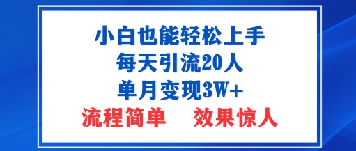 小白也能轻松上手的宝妈项目，每天引流20人，单月变现3W+，流程简单，效果惊人-网创百晓生