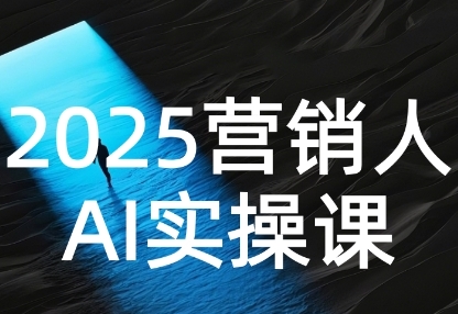 2025营销人Al实操课，AI营销抢跑实战，从Prompt到方案，效率碾压同行-网创百晓生