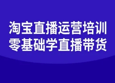 淘宝直播运营培训-零基础学会直播卖货-网创百晓生