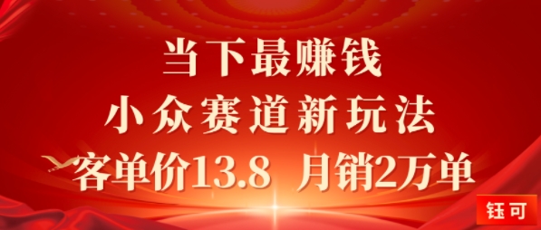 当下最挣钱的小众赛道 小红书新玩法10个作品涨粉3W,客单价13.8 月销2W单-网创百晓生