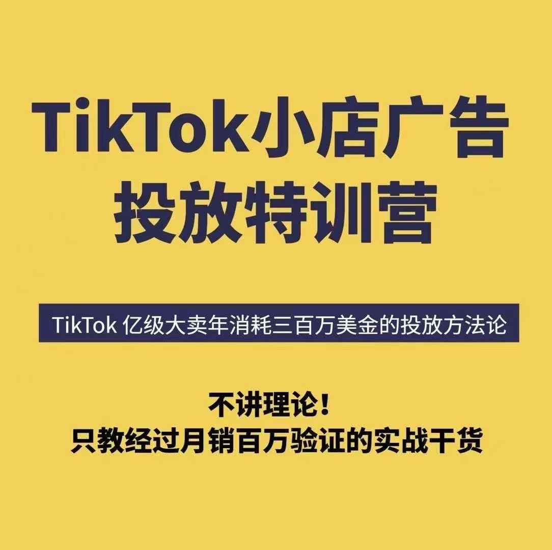 TikTok小店广告投放特训营，6天破局计划专治各种“投不动”，教你经过月销百万验证的实战干货-网创百晓生