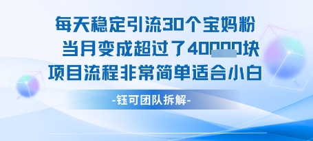 每天稳定引流30个人 当月变成超过了4个W项目流程非常简单适合小白-网创百晓生