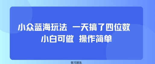 小众蓝海玩法 一天搞了四位数 小白可做 操作简单-网创百晓生