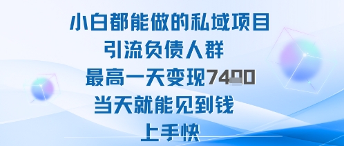 2025年小白都能做的私域项目引流负债人群最高一天变现1k+高变现难度低当天就能见到钱上手快-网创百晓生