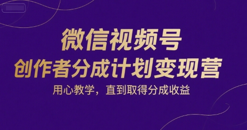 微信视频号创作者分成计划变现营，用心教学，直到取得分成收益-网创百晓生