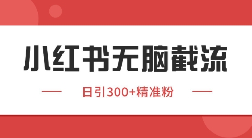 小红书截流同行客源，独家野路子获客玩法 日引200+暴力获客【揭秘】-网创百晓生